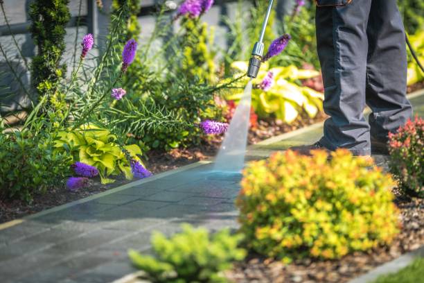 Best Boat and Dock Cleaning  in Cimarron Hills, CO